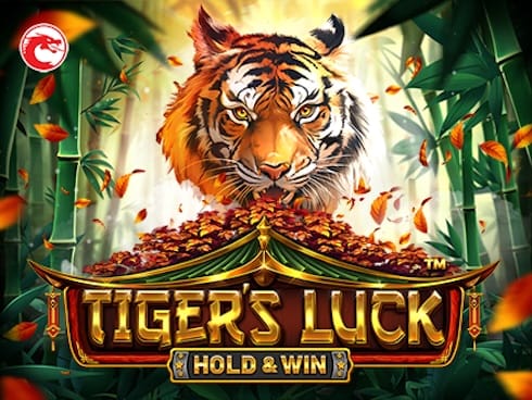 ٹائگرز لک - ہولڈ اینڈ ون screenshot